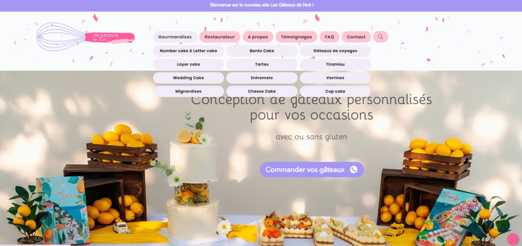 capture d'écran site Gâteaux de Noé SEO référencement naturel Loélin